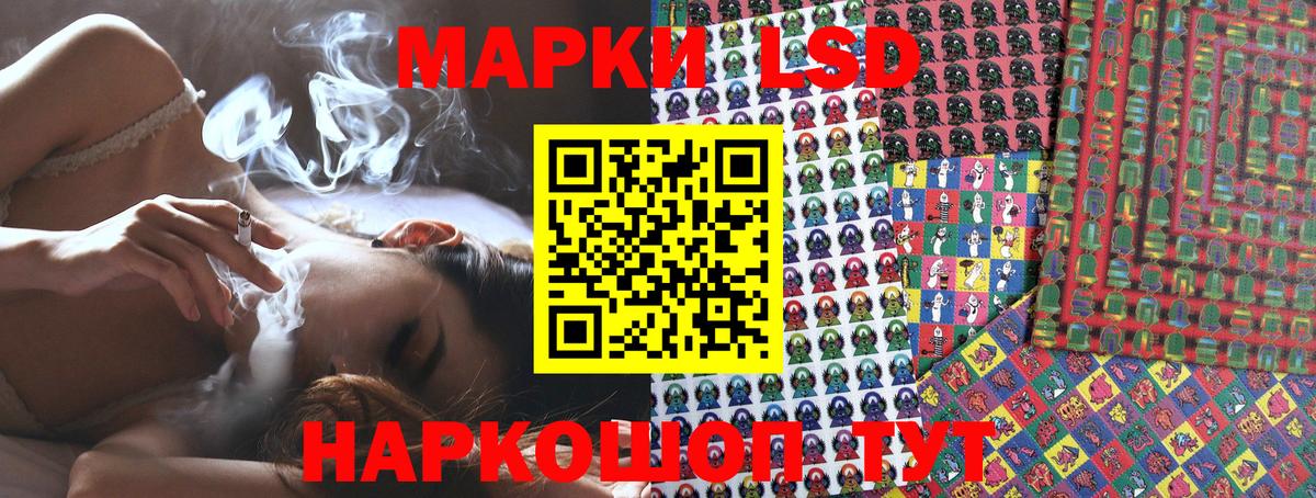 Лесной  Наркотические марки 1500мкг  Наркотические марки  Вход с VPN  Наркотические марки 1500мкг 