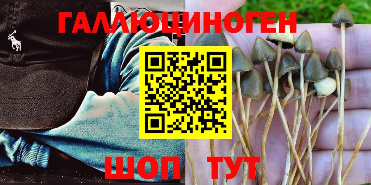 Галлюциногенные грибы прущие грибы  Вход с VPN  Псилоцибиновые грибы мицелий  Лесной 